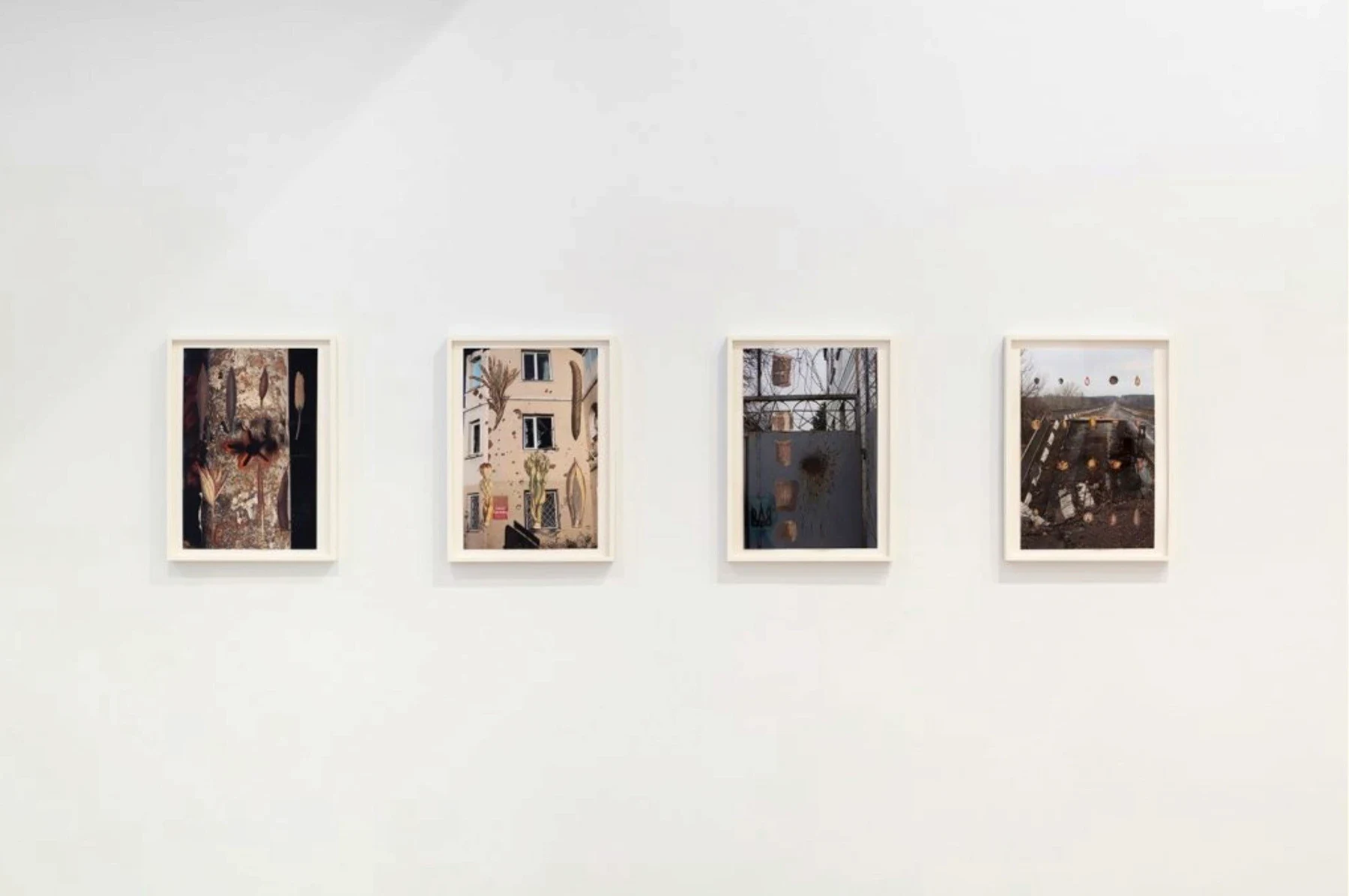 Four framed photographic works in a row on a white wall.
