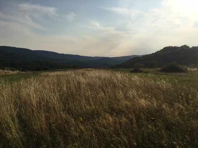 A grassy landscape with low hills beneath a cloudy sky.